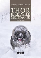Thor il re delle montagne