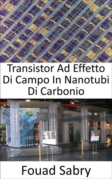Transistor Ad Effetto Di Campo In Nanotubi Di Carbonio
