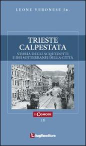 Trieste calpestata. Storia degli acquedotti e dei sotterranei della città