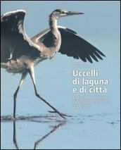 Uccelli di laguna e di città. L atlante ornitologico nel comune di Venezia 2006-2011. Ediz. illustrata