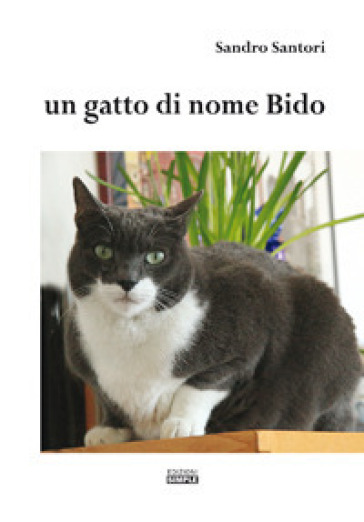 Un gatto di nome Bido