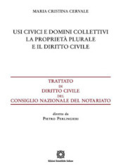 Usi civici e domini collettivi. La proprietà plurale e il diritto civile