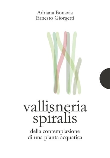 Vallisneria spiralis