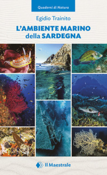 L'ambiente marino della Sardegna. Ediz. illustrata. 1.