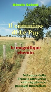 Il cammino di Le Puy, le magnifique chemin