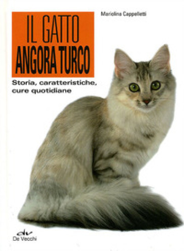 Il gatto angora turco. Storia, caratteristiche, cure quotidiane