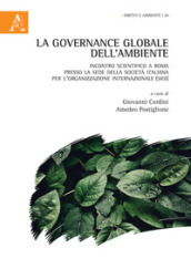 La governance globale dell ambiente. Incontro scientifico a Roma presso la sede della Società Italiana per l Organizzazione Internazionale (SIOI)