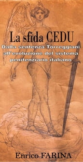 La sfida CEDU - Dalla sentenza Torreggiani all evoluzione del sistema penitenziario italiano