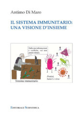Il sistema immunitario: una visione d insieme